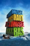 Musée haut, musée bas