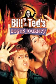Neskutečná cesta Billa a Teda