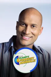 Nejzábavnější zvířata na zemi