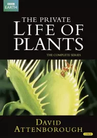 Soukromý život rostlin