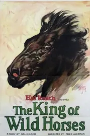 King of the Wild Horses, The