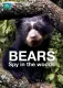 Medvědi - špionáž v lese