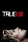 True Blood: Pravá krev