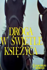 Droga w swietle ksiezyca