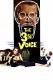 3rd Voice, The