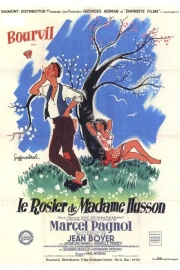 Rosier de Madame Husson, Le