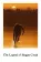 Legend of Boggy Creek, The