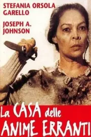 Casa delle anime erranti, La