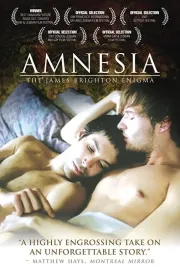 Amnesia: James Brighton Enigma, The