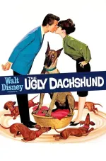 Ugly Dachshund, The