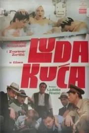 Luda kuca