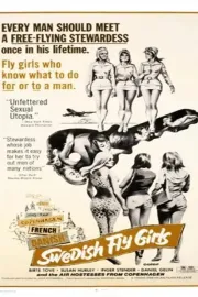 Christa: Swedish Fly Girls