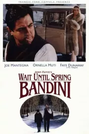 Počkej do jara, Bandini
