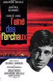 Aîné des Ferchaux, L'