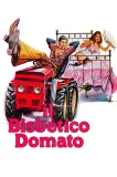 Bisbetico domato, Il