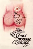 Histoire très bonne et très joyeuse de Colinot Trousse-Chemise, L'