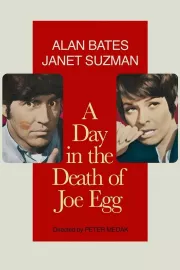 Day in the Death of Joe Egg, A