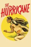 Hurricane, The