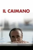 Caimano, Il