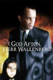 God afton, Herr Wallenberg - En Passionshistoria från verkligheten