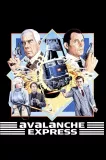 Avalanche express