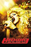 Hedwig a Angry Inch
