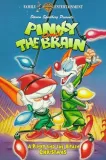 Pinky & the Brain Christmas Special, A