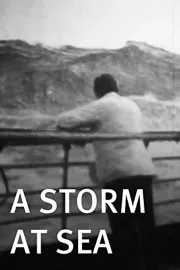 Storm at Sea, A