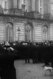 Kong Frederik VIII's proklamation