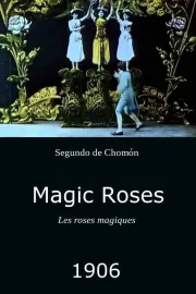 Roses magiques, Les