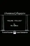 Feline Follies