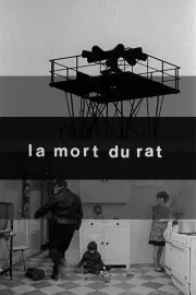 Mort du rat, La