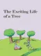 Exciting Life of a Tree