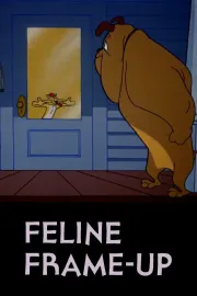 Feline Frame-up