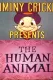 You the Human Animal