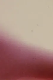 Arabic Numeral Series 17