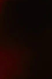 Arabic Numeral Series 4