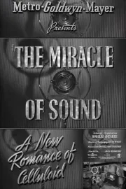 Miracle of Sound, The