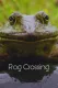 Frog Crossing
