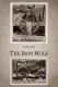 Iron Mule, The