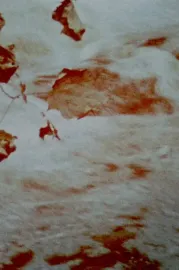 Du sang, de la volupté et de la mort, part III: Charmides