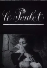 Poulet, Le