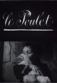 Poulet, Le