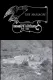 Massacre, The