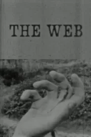 Web, The