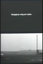 Skrajojimai melynam lauke