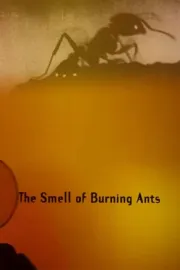 Smell of Burning Ants, The