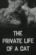 Private Life of a Cat, The