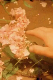 Du sang, de la volupté et de la mort, part I: Psyche