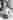 Donna Reed Show, The